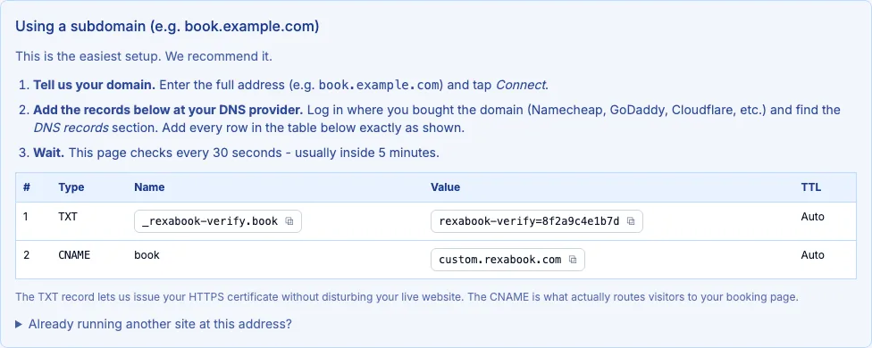 The DNS record panel, showing the CNAME and verification record to add at your registrar